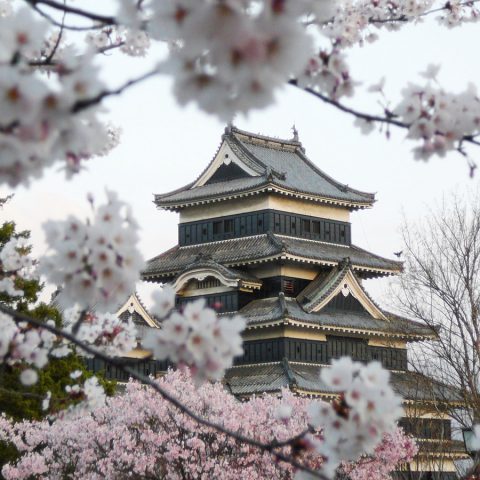 viajar a Japón