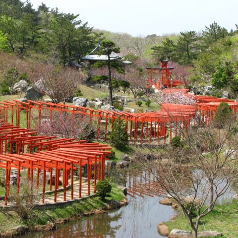 imprescindibles que ver en Japón