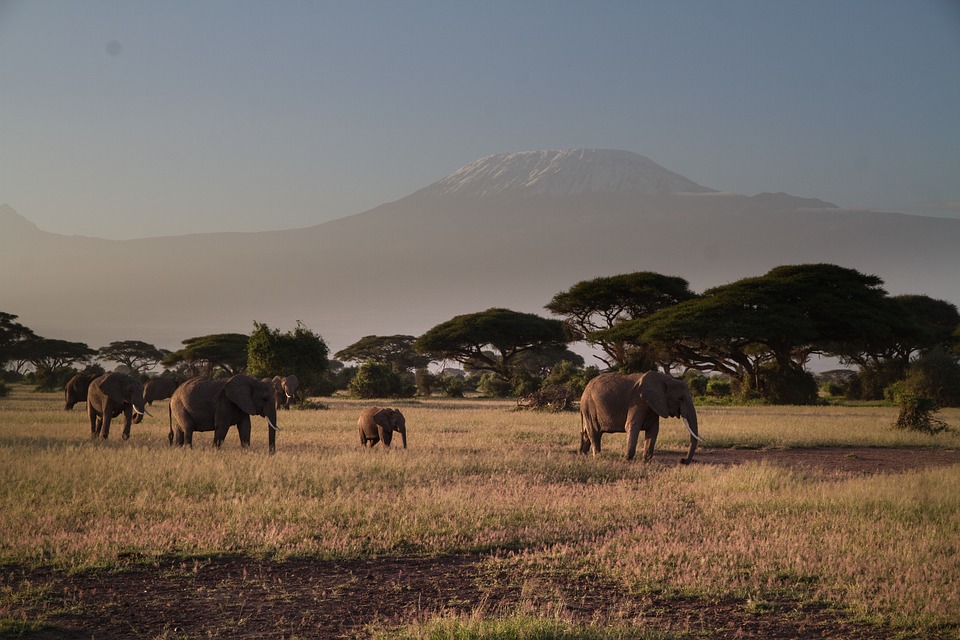 Parque Nacional de Amboseli