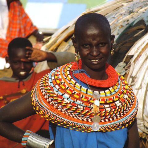 Como hacer fotos en un safari africa