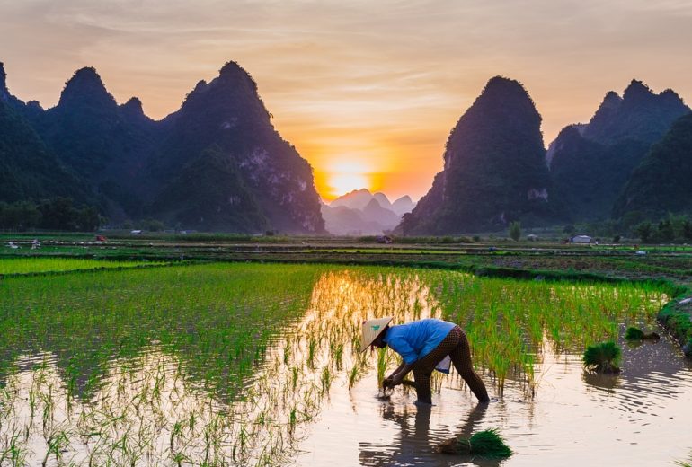 Que ver en Vietnam