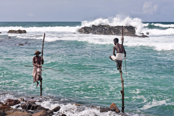 Arte de la pesca en Sri Lanka