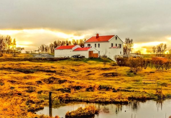 Bharad Travel. Paisaje de Myvatn. Islandia